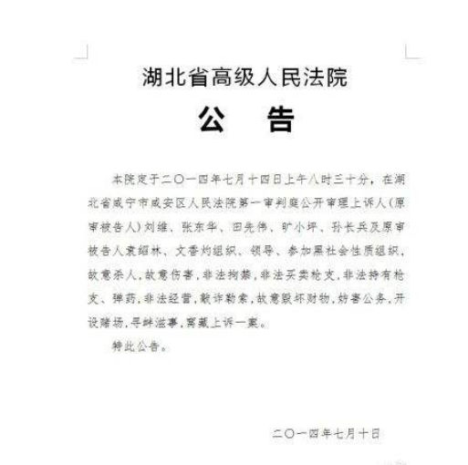 法院公告图片