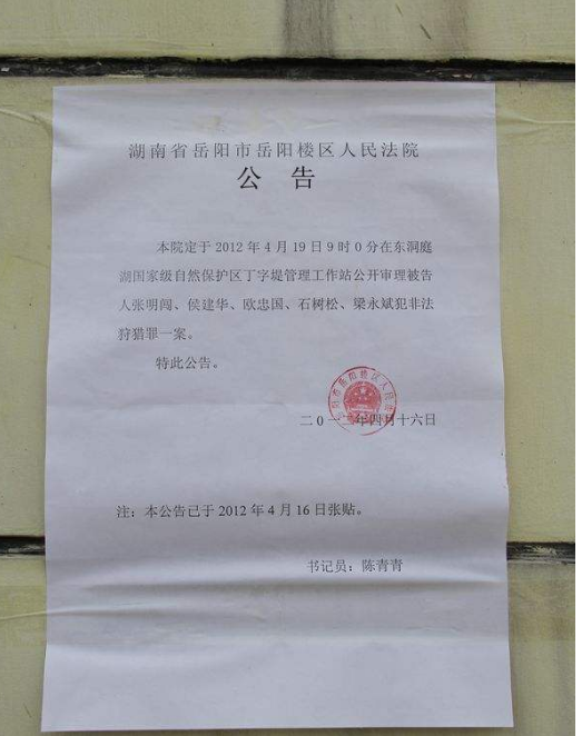 人民法院公告制作2