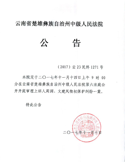 人民法院报正确的公告格式