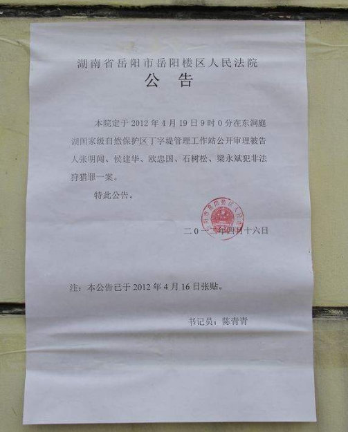 法院公告格式2