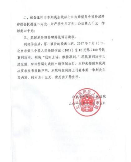 法院公告效果图