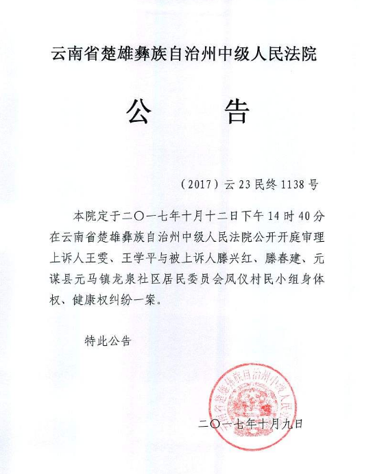 法院公告效果图2