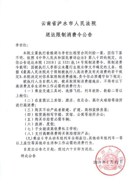 公告送达图一