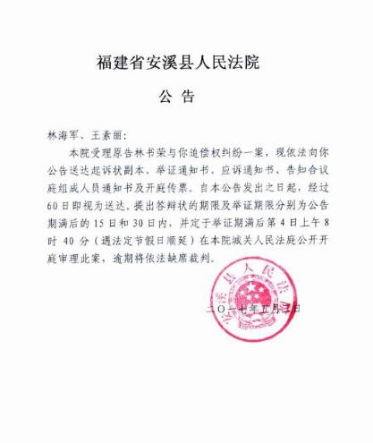 公告送达图二