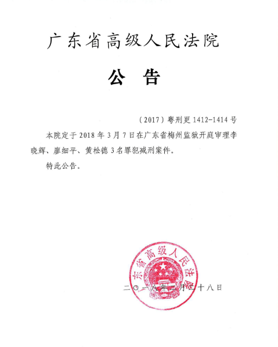 法院公告效果图2