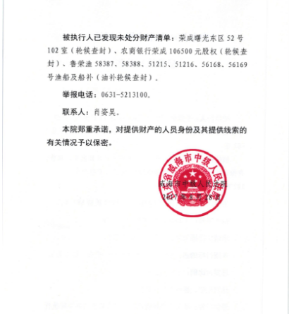 法院公告效果图