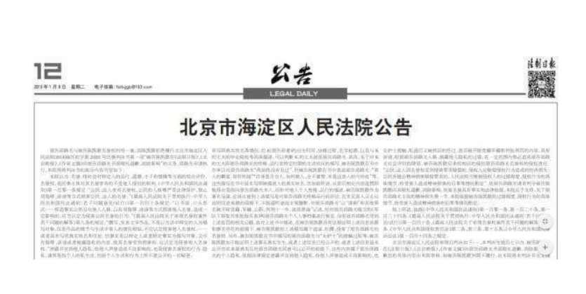 法院登报效果图2