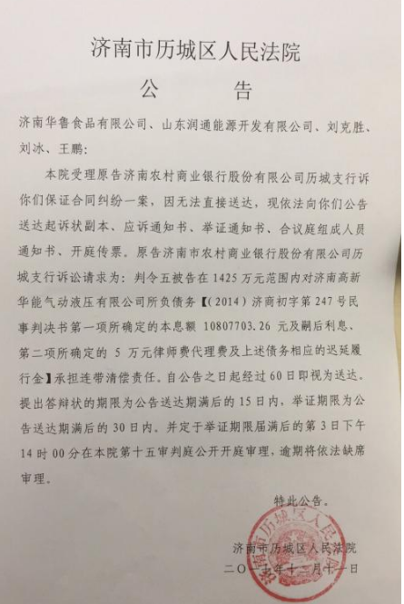 法院公告效果图2