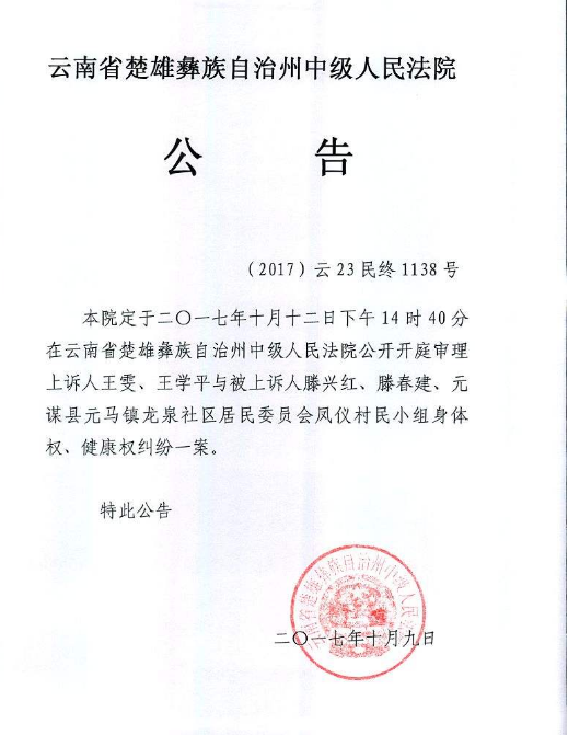 法院公告效果图2