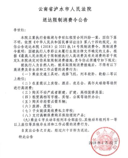 人民法院报送达公告图一