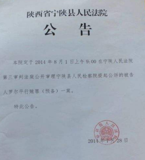 法院公告效果图2