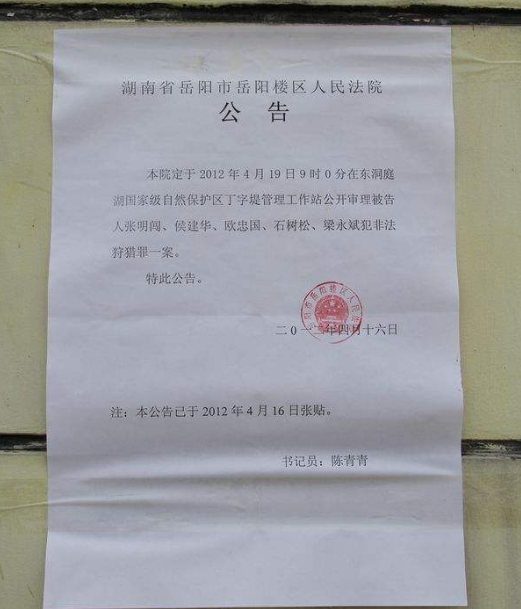 遗失声明效果图2