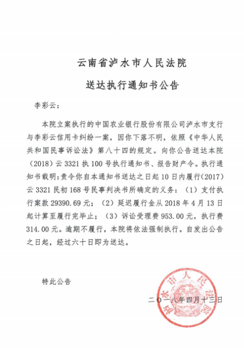 法院公告效果图