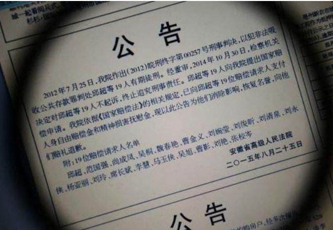 法院公告效果图
