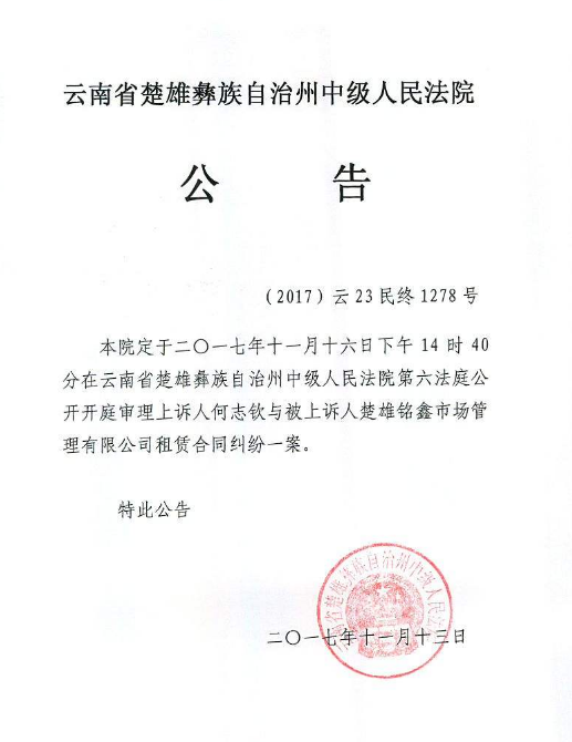 法院公告效果图