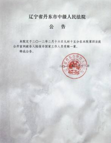 法院公告效果图2