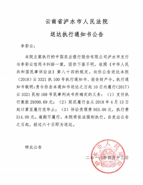 法院公告效果图