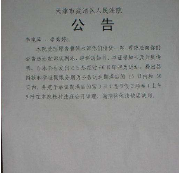 法院公告效果图2