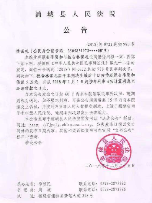 法院公告效果图2