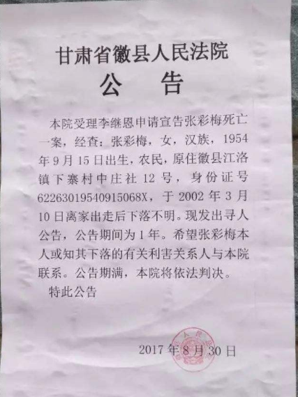 法院公告效果图