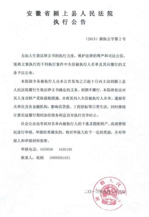 法院公告效果图3