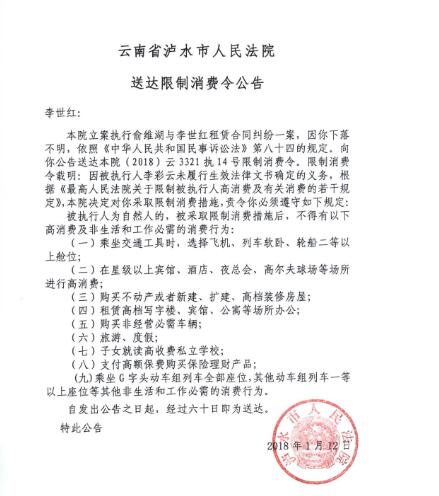 人民法院报送达公告图一