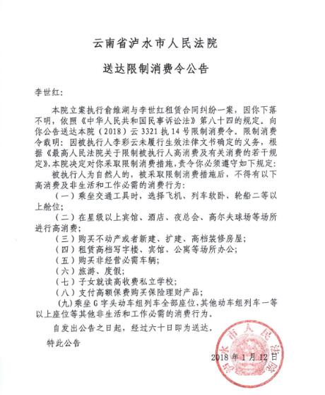 人民法院报送达公告图一