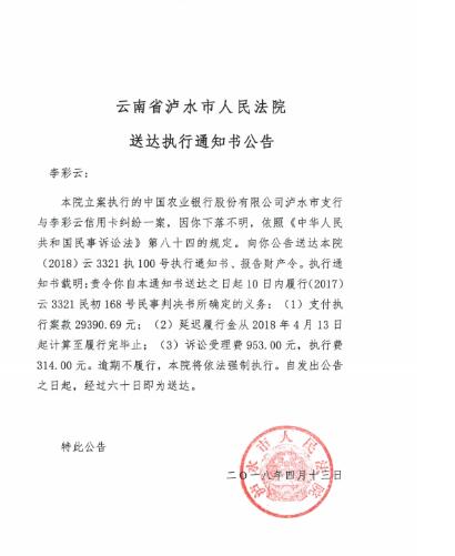 人民法院报送达公告图一