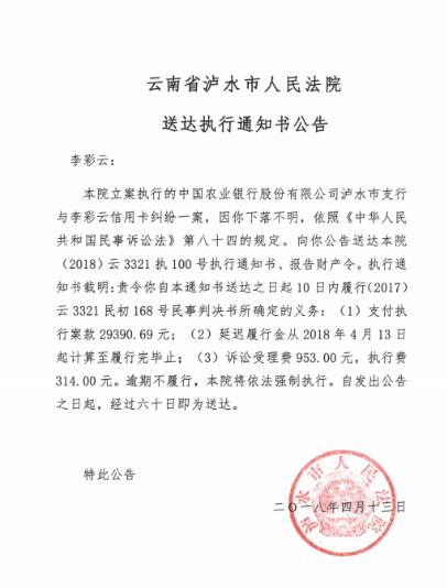 人民法院报送达公告图片