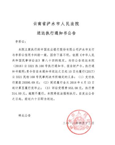 人民法院报法院公告图