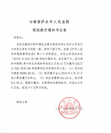 人民法院报送达公告图一