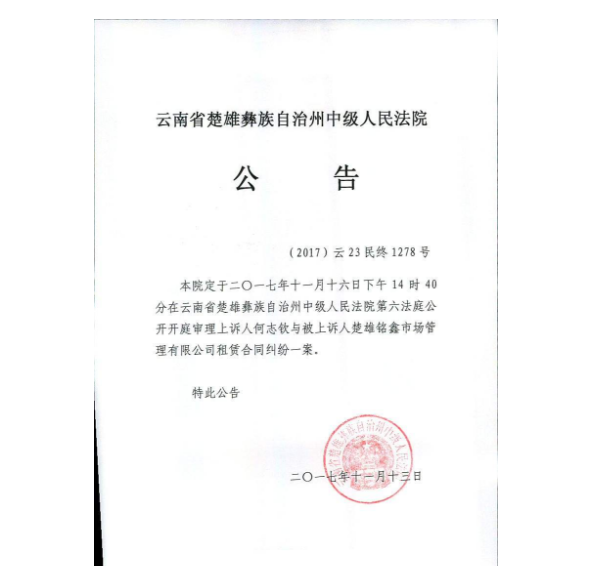 法院公告效果图