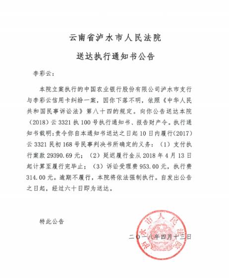 人民法院报送达公告图片