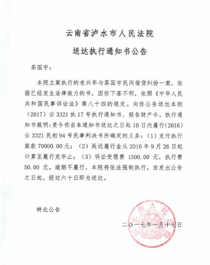 人民法院报公告送达图片