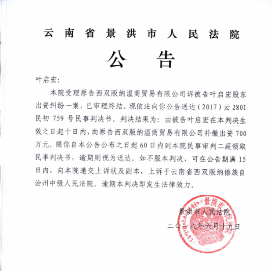 法院公告效果图