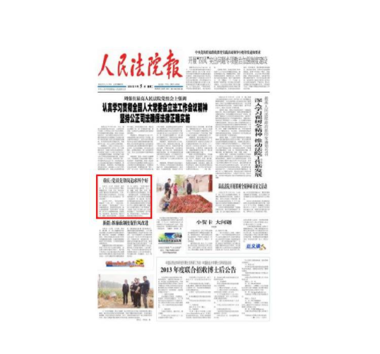 人民法院报